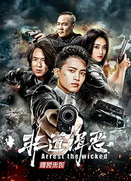 【犯罪片】非道缉恶